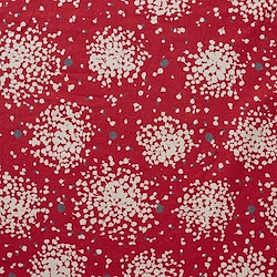 Echino Patterns - Canvas